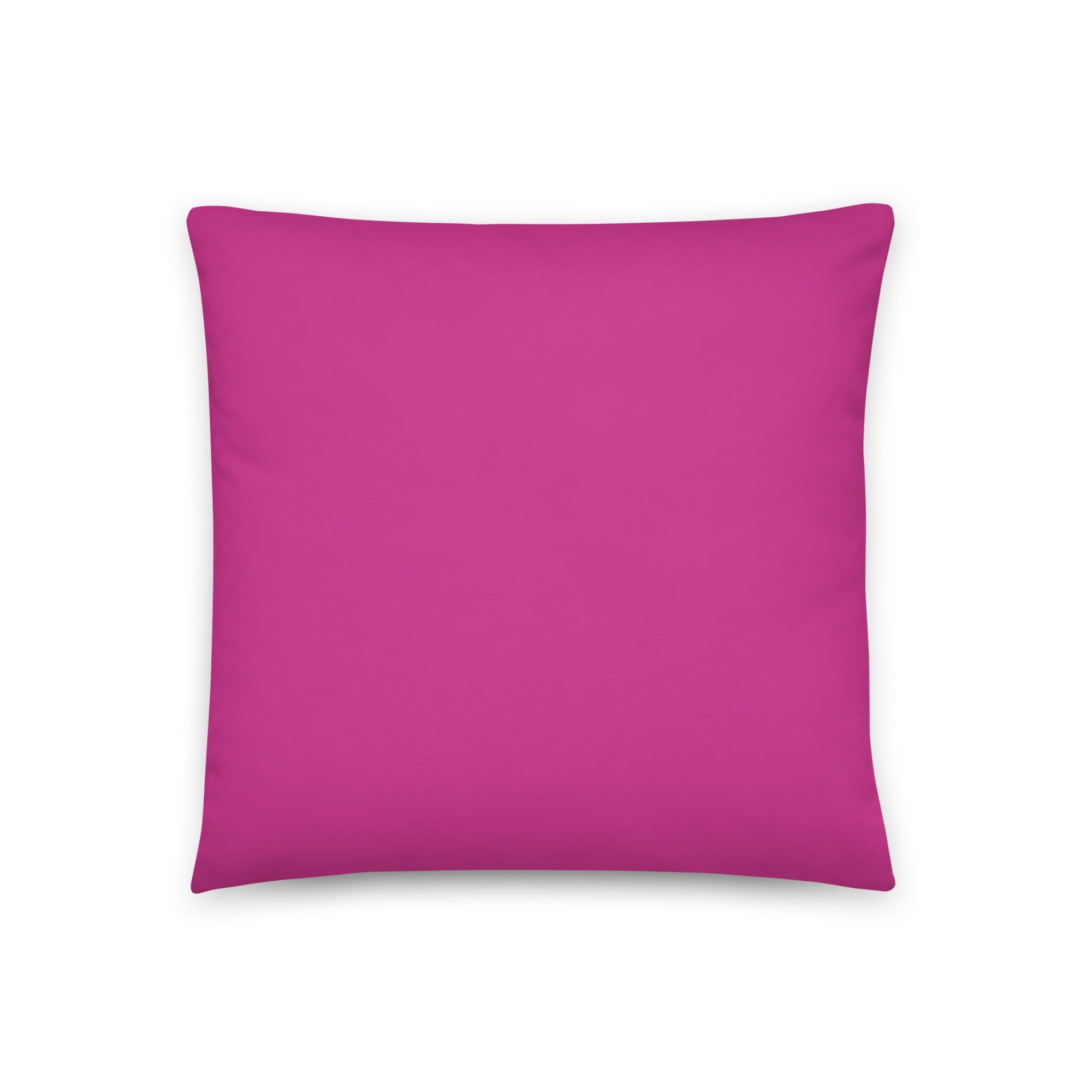 Rainbow Cat Pillow - Art Love Decor