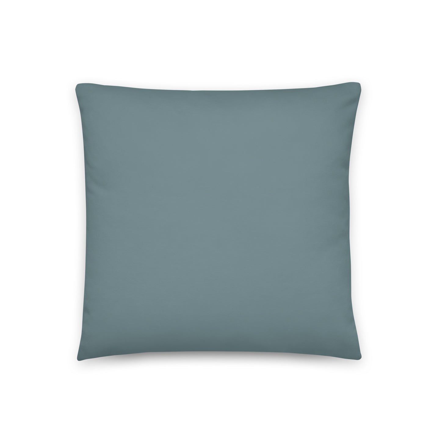 Rain Bird Pillow