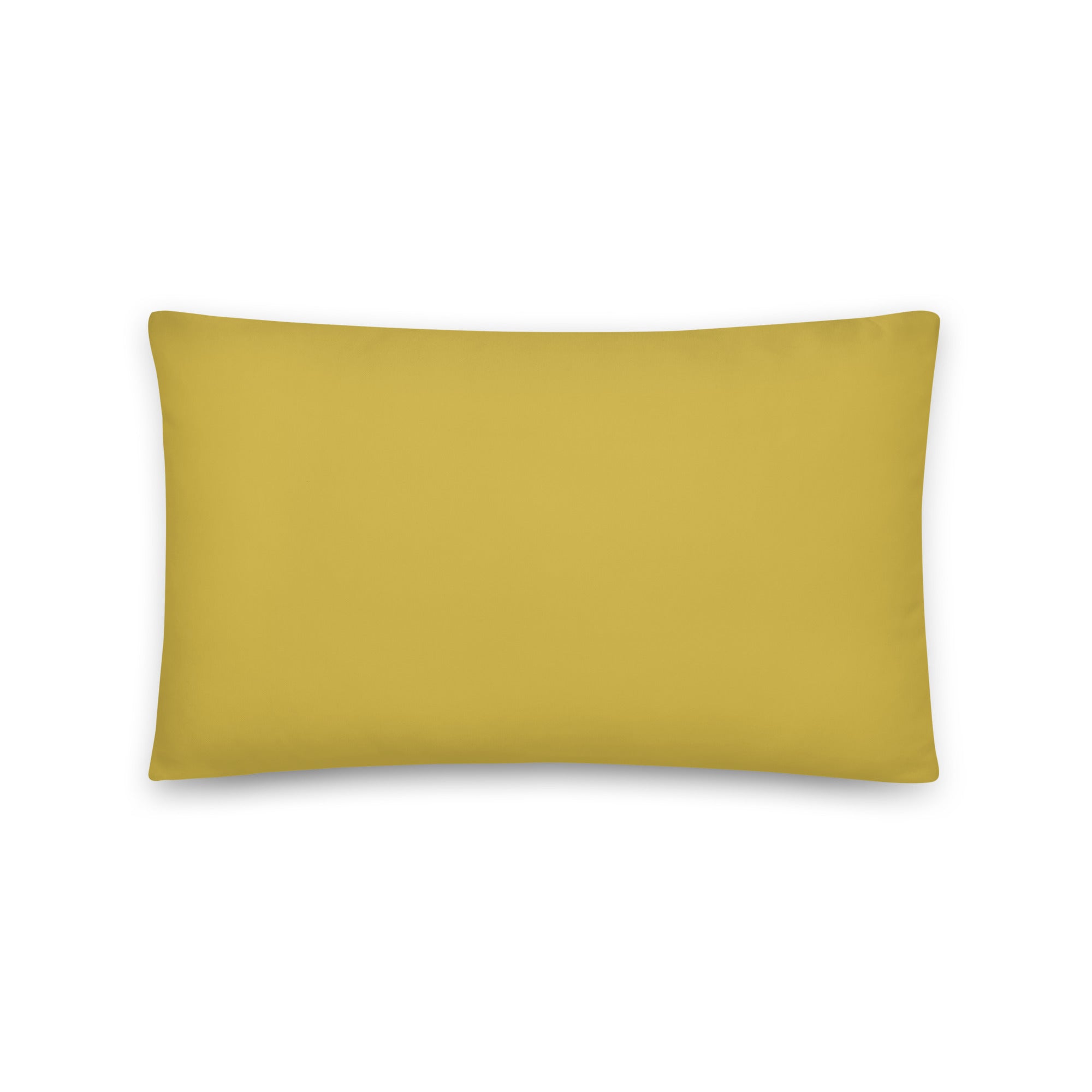 Caterpillar Abstract Pillow - Art Love Decor