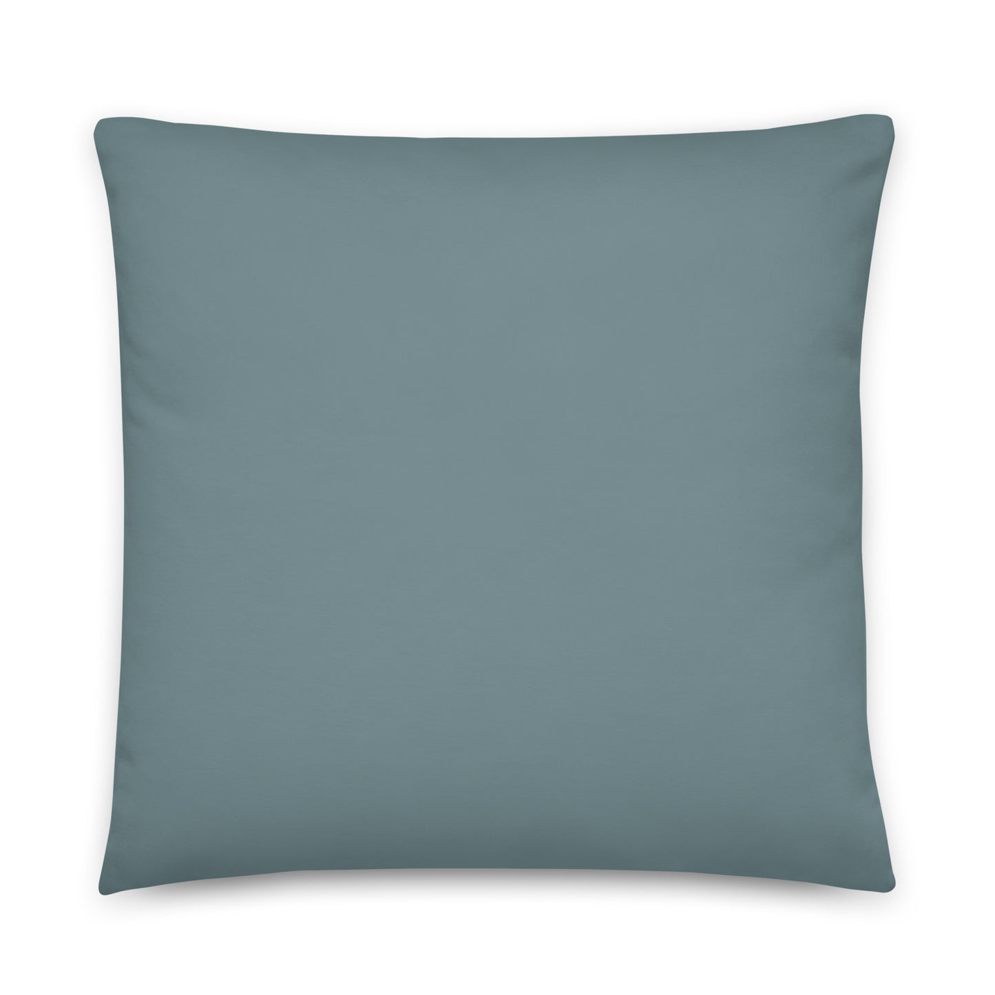 Rain Bird Pillow
