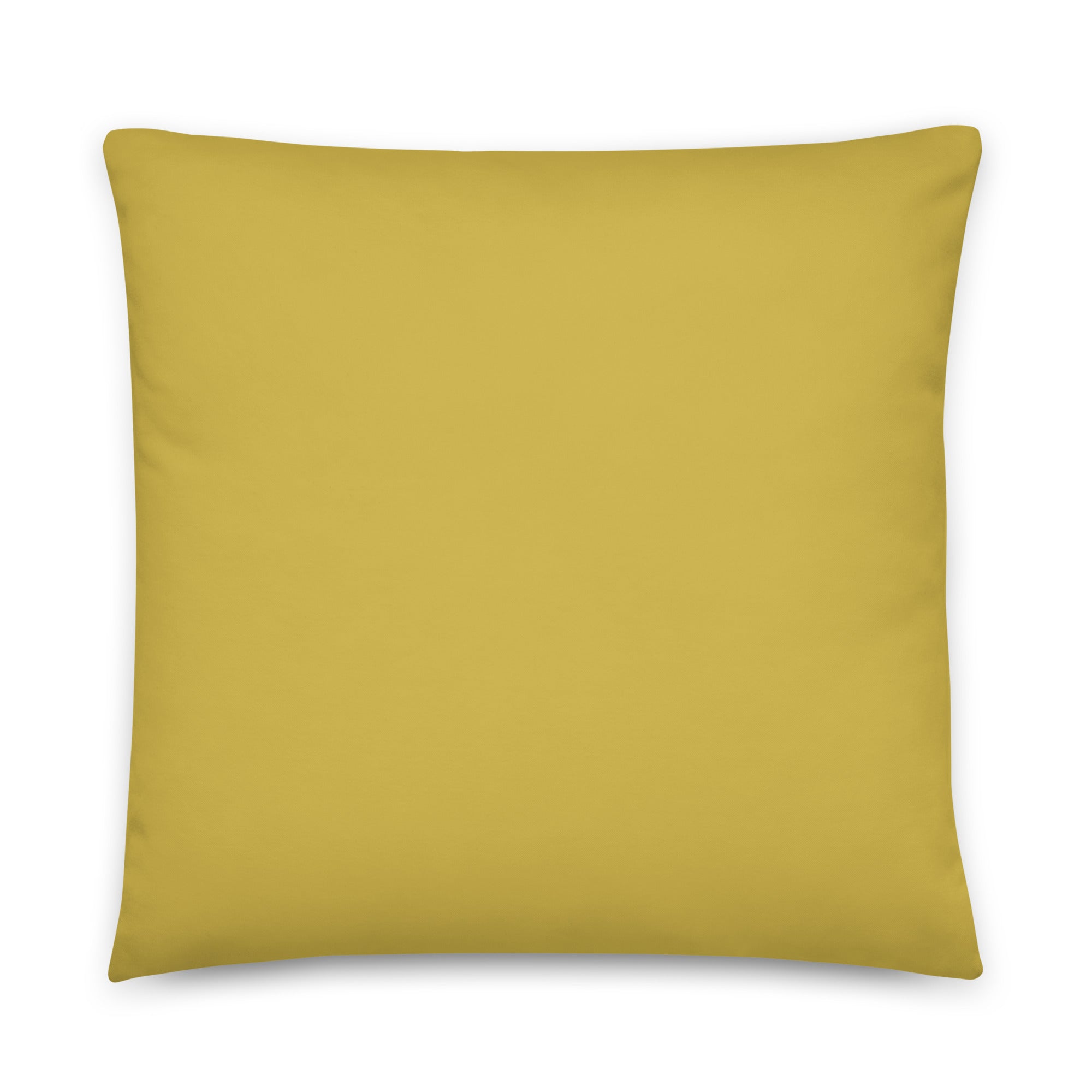 Caterpillar Abstract Pillow - Art Love Decor